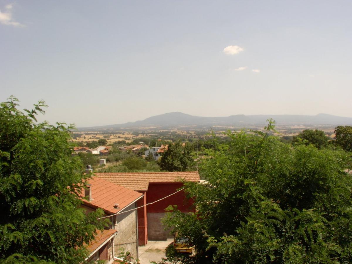 Bed and Breakfast I Tulipani Olandesi Zepponami Экстерьер фото
